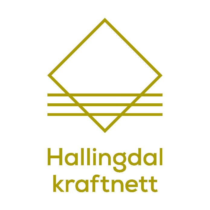 Hallingdal Kraftnett AS