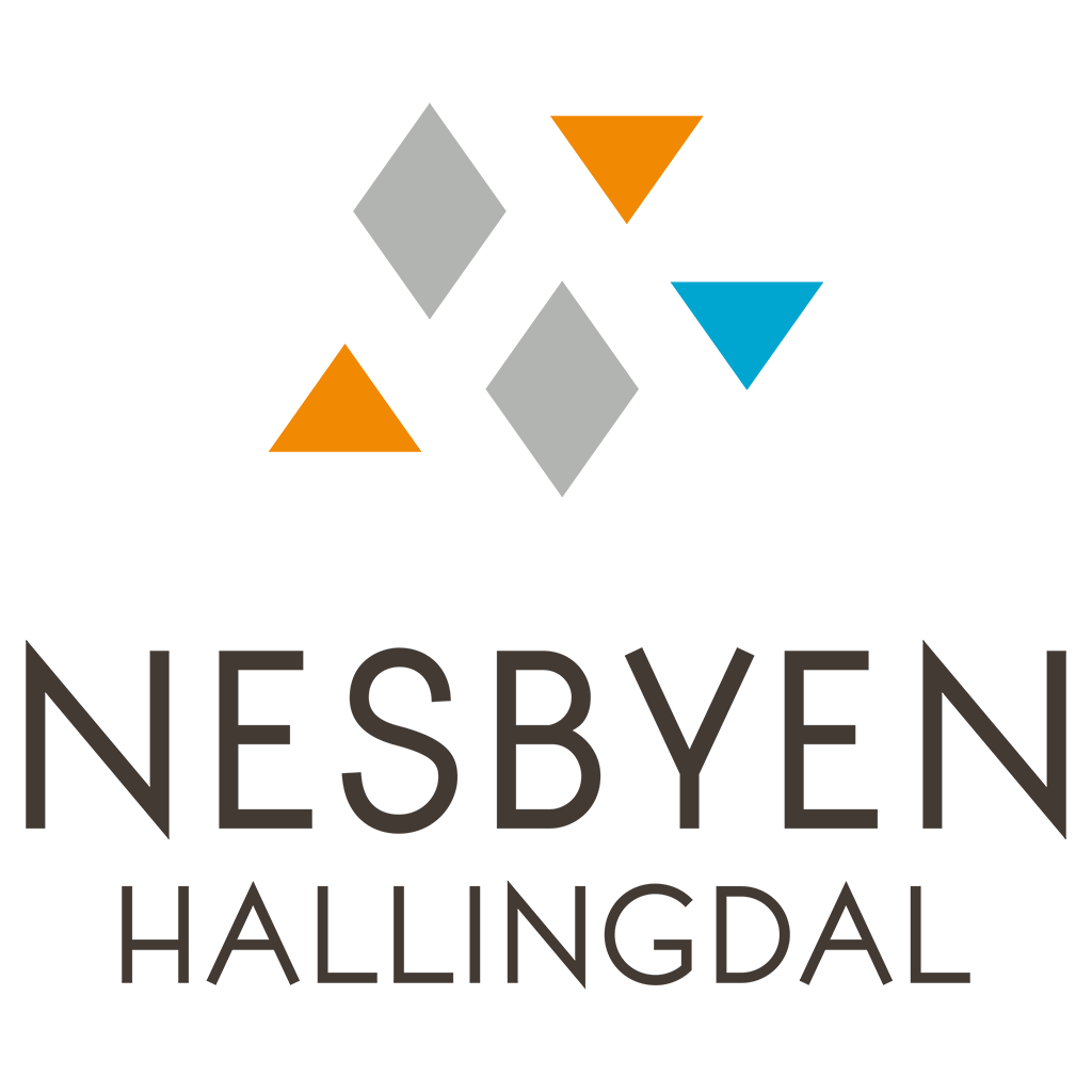 Nesbyen Turist- og Næringsservice AS